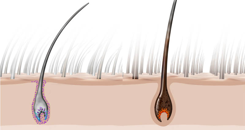 Friseur-Oberursel-La-Biosthetique-Neues-Jahr-Neue-Pflege